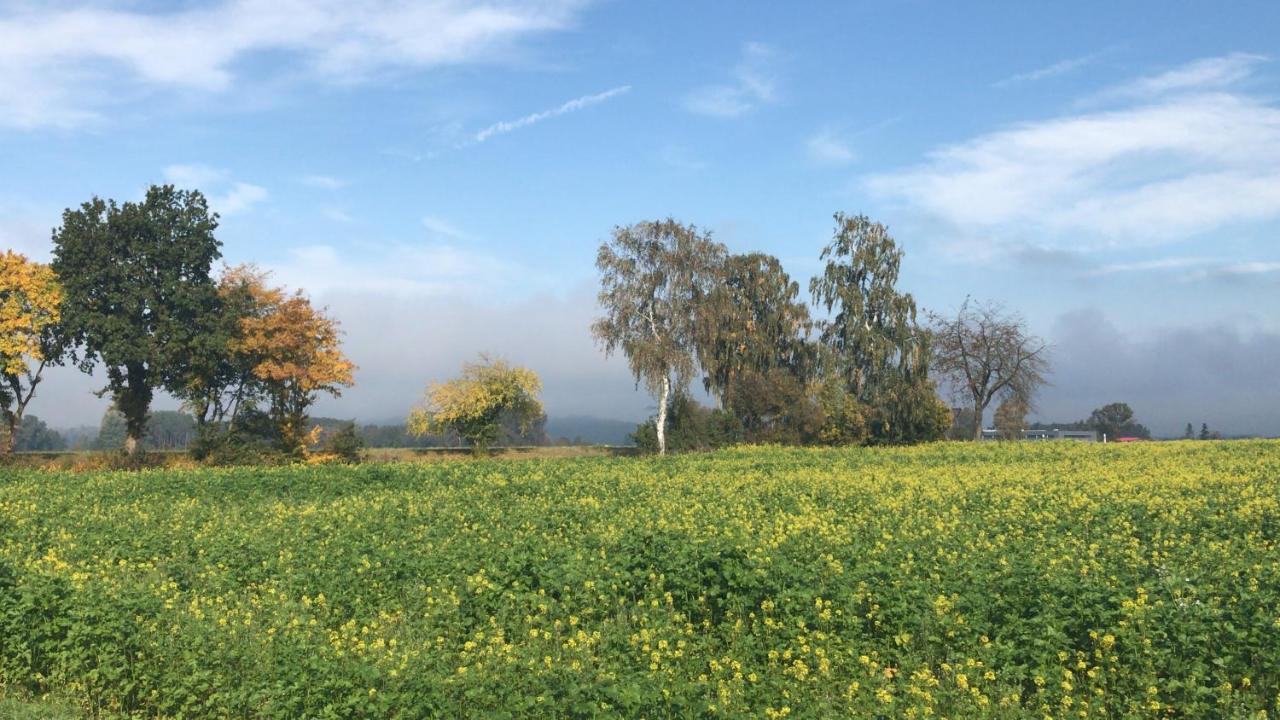 Ferienwohnung Im Herzen Der Holledau Pörnbach Esterno foto